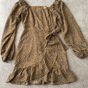 Altar’d State Leopard Print Dress